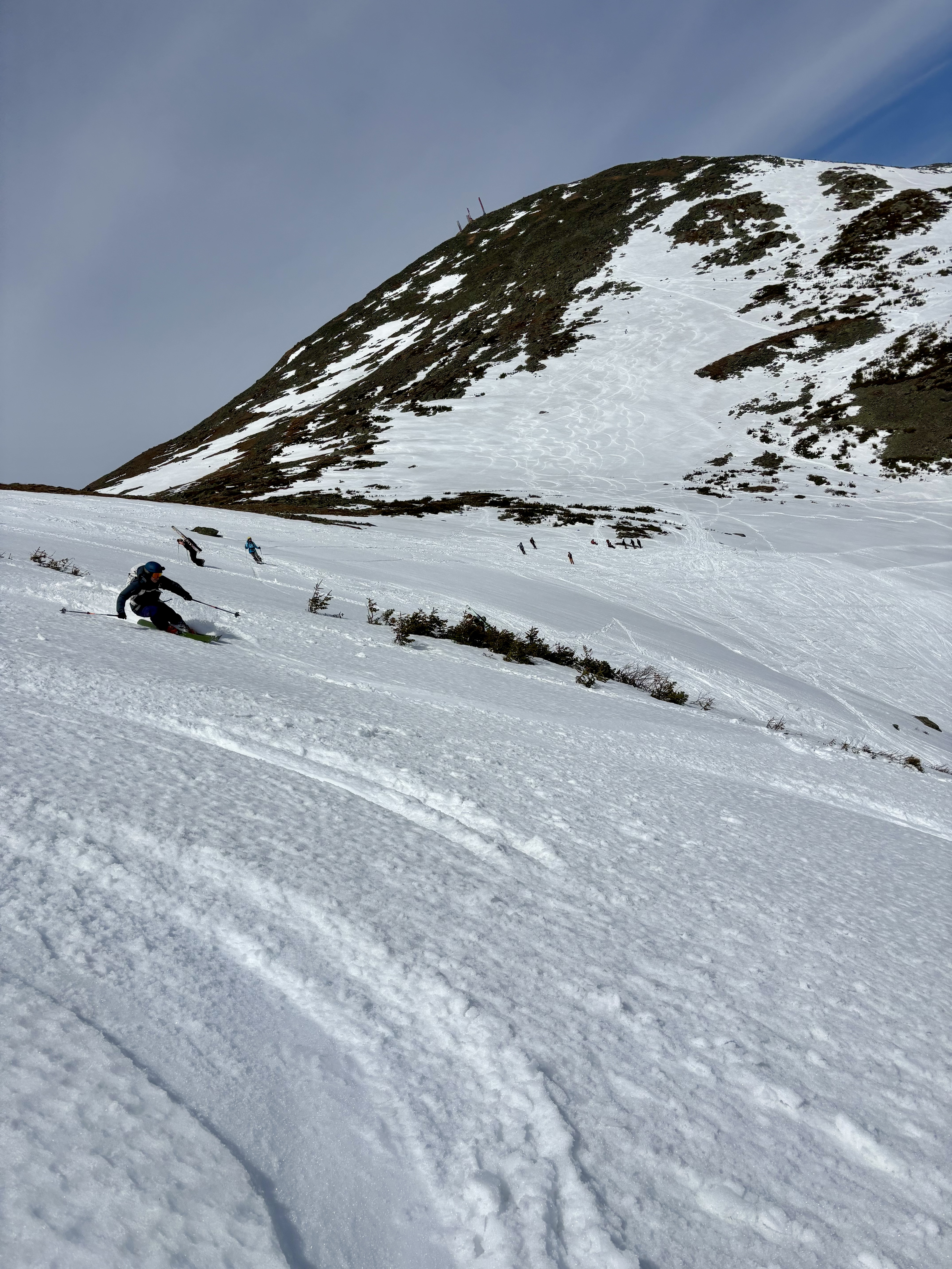 Tucks in spring